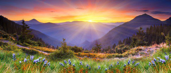 shutterstock_74626198